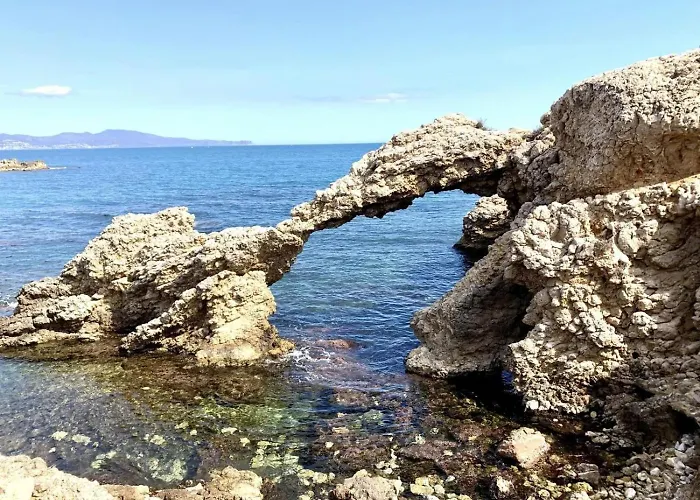 La Colmena *